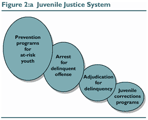 Figure 2a: Juvenile Justice System