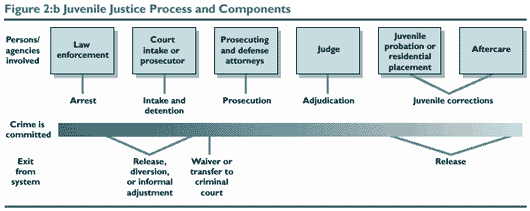Figure 2b: Juvenile Justice Process and Components