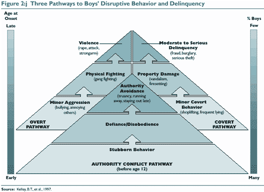 Figure 2:j Three Pathways to Boys Disruptive Behavior and Delinquency